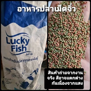 อาหารปลาหางนกยูง ปลาทอง ปลาคราฟ ปลาสวยงาม เม็ดจิ๋ว เล็ก กลาง ใหญ่ เกรดเอ1 กิโล💥แพคใส่ถุงซิปล๊อค💥(ของแท้จากโรงงานผลิต)