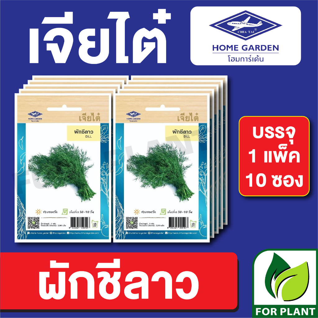 เมล็ดพันธุ์ ผักซอง ผักชีลาว ตราเจียไต๋ CT15 บรรจุแพ็คล่ะ 10 ซอง ราคา 75 บาท