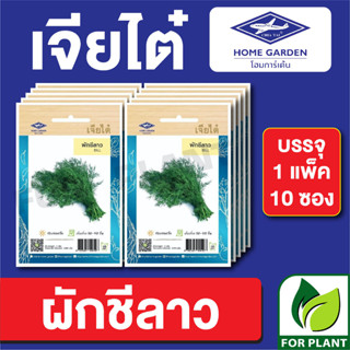 เมล็ดพันธุ์ ผักซอง ผักชีลาว ตราเจียไต๋ บรรจุแพ็คล่ะ 10 ซอง ราคา 70 บาท