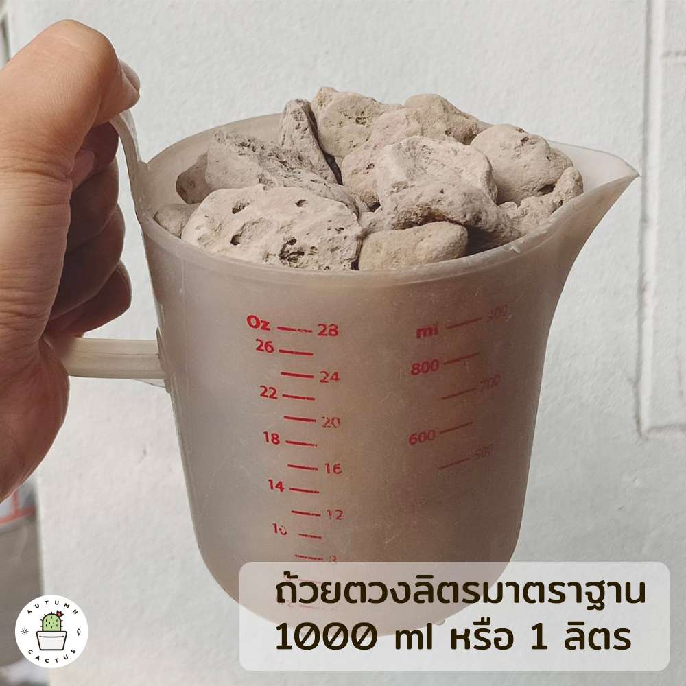 รูปภาพ 8