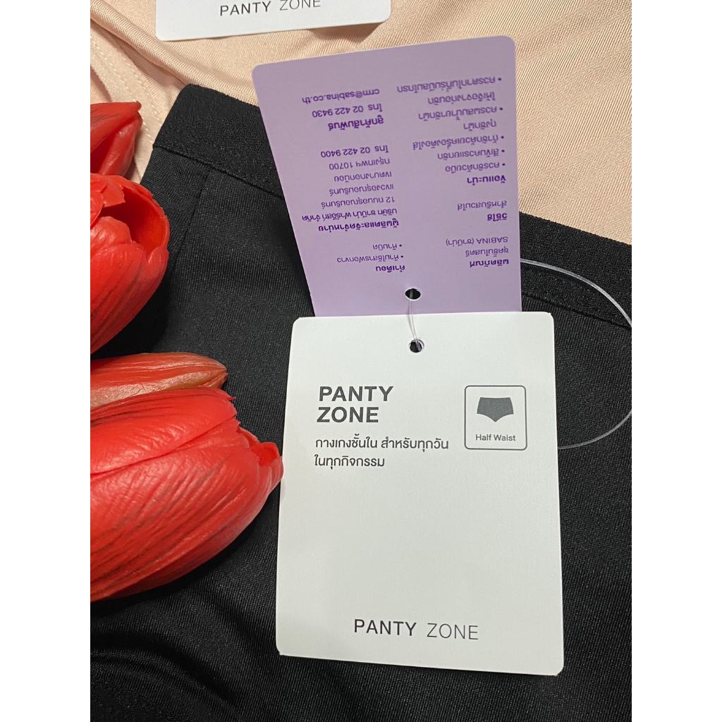 sabina กางเกงชั้นใน พลัสไซต์ สาวอวบ สพ40-47นิ้วรหัส SUX676 - รูปที่ 5