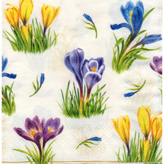 Pladao Napkin ภาพดอกไม้ ภาพสีน้ำ ดอกบัวดินฝรั่ง ฟ้า Crocus กระดาษ แนพกิ้น สำหรับงานศิลปะ เดคูพาจ decoupage ขนาด L 33x33