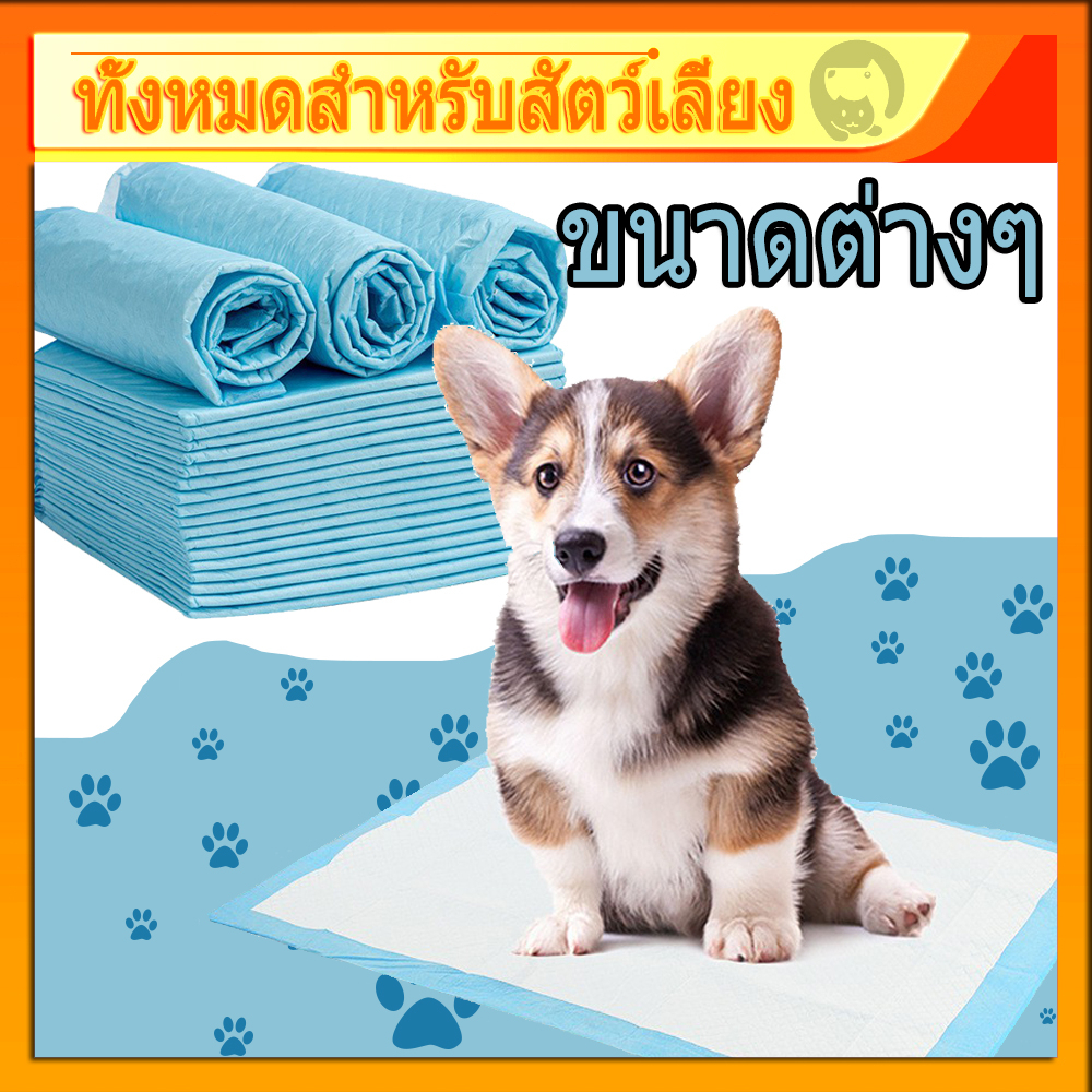 แผ่นรองฉี่ แผ่นรองฉี่สุนัขและแมว กระต่าย เม่น บ๊อกด็อก และ จิจิโกะ ดูดซับกลิ่น ฝึกขับถ่าย ซึมซับเยี่ยม