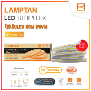 LAMPTAN ไฟเส้นLED ไฟสายยาง 50เมตร แสงวอร์ม 8w/M Light LED Strip รุ่น STRIP FLEX ไฟเส้น LED