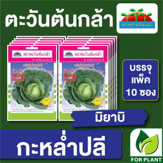 เมล็ดพันธุ์ ผักซอง กระหล่ำปลี มิยาบิ  ตราตะวันต้นกล้า บรรจุแพคล่ะ 10 ซอง ราคา 64 บาท