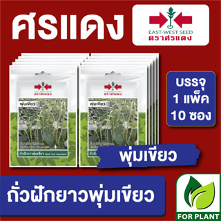 เมล็ดพันธุ์ ผักซอง ถั่วพุ่มพุ่มเขียว ตราศรแดง บรรจุแพ็คล่ะ 10 ซอง ราคา 70 บาท