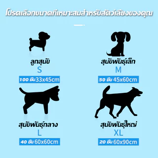 พร้อมส่ง!!แผ่นรองฉี่สุนัข ซึมซับไดีดี ต่อต้านแบคทีเรีย แผ่นรองฉี่ ผ้ารองฉี่สุนัข แผ่นรองฉี่แมว แผ่นรองซับ ทรายแมว