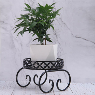 Flower pot stand ชั้นวางกระถางดอกไม้ เหล็ก ชั้นเดียว 25x25x19 cm สีดำ ST0531-25BL