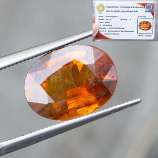 พลอยบุษราคัมน้ำทองบางกะจะ(Yellow Sapphire) สีเหลืองสวย มีตำหนิหม่าตรงกลางแต่ไม่มีรอยแตกร่าว พลอยแท้จากประเทศไทย(พร้อมใบเ