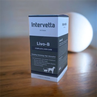 Livo-B Dr.Choice Intervetta Exp.25/02/2024 บำรุงตับ วิตามิน อาหารเสริม สุนัข แมว