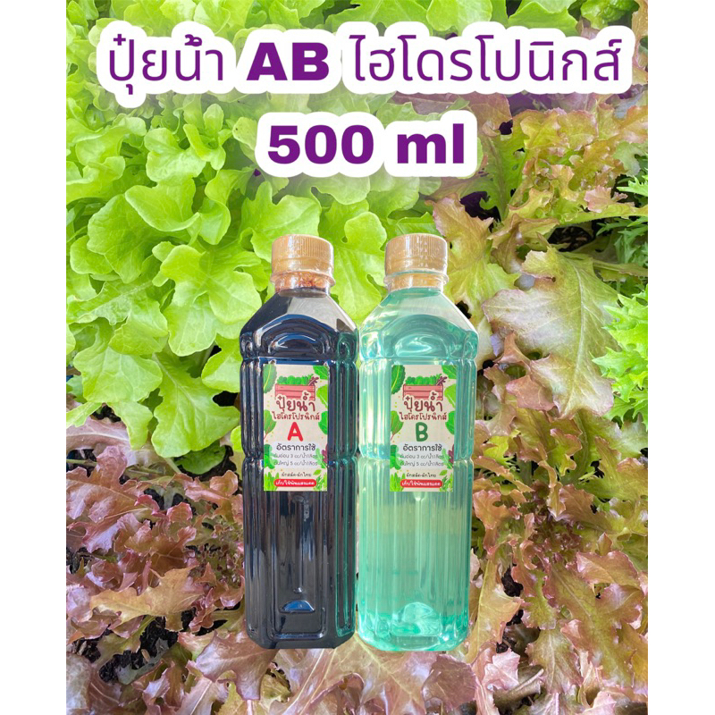 ปุ๋ยน้ำ AB ไฮโดรโปนิกส์ ระบบน้ํานิ่งและน้ำวน ขนาด 500 mL 2 ขวด ปลูกได้ทั้งผักไทย-ผักสลัด