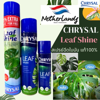 พร้อมส่ง ‼️สเปรย์ฉีดใบมัน คริสซอล (Chrysal Leaf Shine) สเปรย์ฉีดใบมัน สเปรย์ใบมันแท้100%