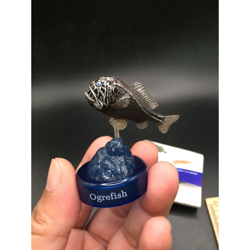 ฟิกเกอร์  สัตว์จิ๋ว Ogrefish ปลาประหลาดน้ำลึกฟันแหลมคม ปลาแฟงค์ทูธ fang-tooth Kaiyodo Deep Sea Odyssey Bottle Cap Figure