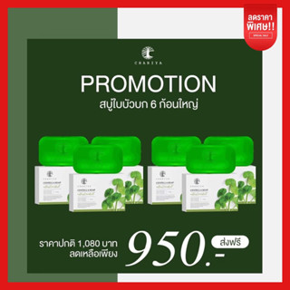 ส่งฟรี สบู่ใบบัวบก 6 ก้อน สบู่ใบบัวบกชาริยา ชาริยาสกินแคร์ สบู่ลดสิว สบู่หน้าใส สบู่สมุนไพร สบู่ลดความมัน