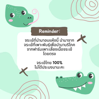 ตัวเดียวอันเดียวจระเข้ เจ้าแรกในไทย Bella's Bites Crocodile Pizzle Chew