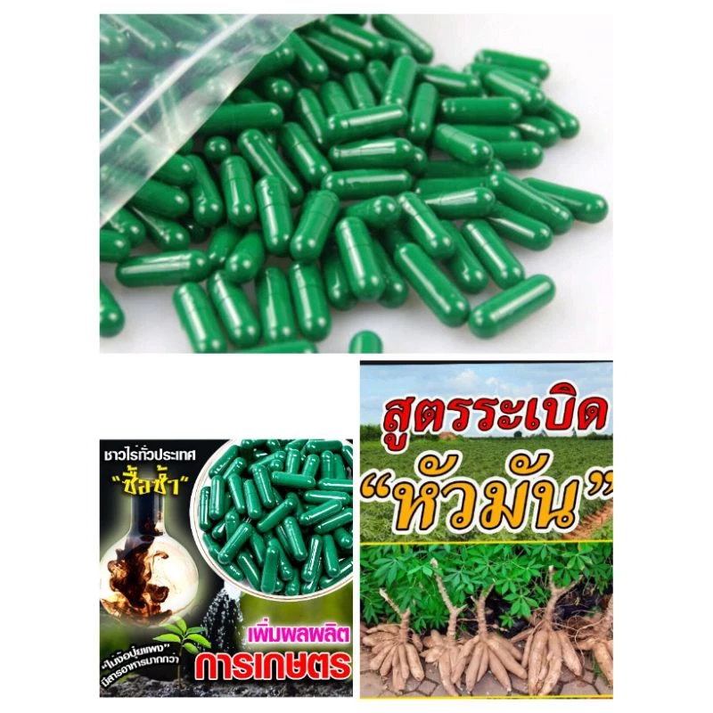 💥50เม็ด159🌾50เม็ด159🌱เขียวนาโนแคปซูลพืช🌿50เม็ด159.-🌿ราคาส่งจากโรงงาน🌾🌱💥