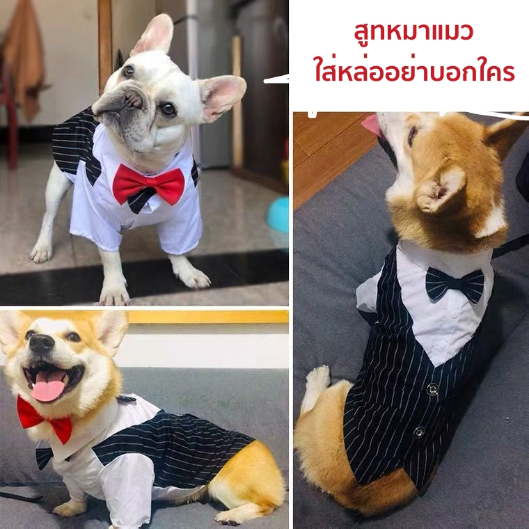 สูทหมา สูทแมว ชุดเจ้าบ่าวสุนัข ทักสิโด้สัตว์เลี้ยง เสื้อหมา เสื้อแมว ชุดแต่งงานสัตว์เลี้ยง ชุดสูทสัตว์เลี้ยงราคาถูก