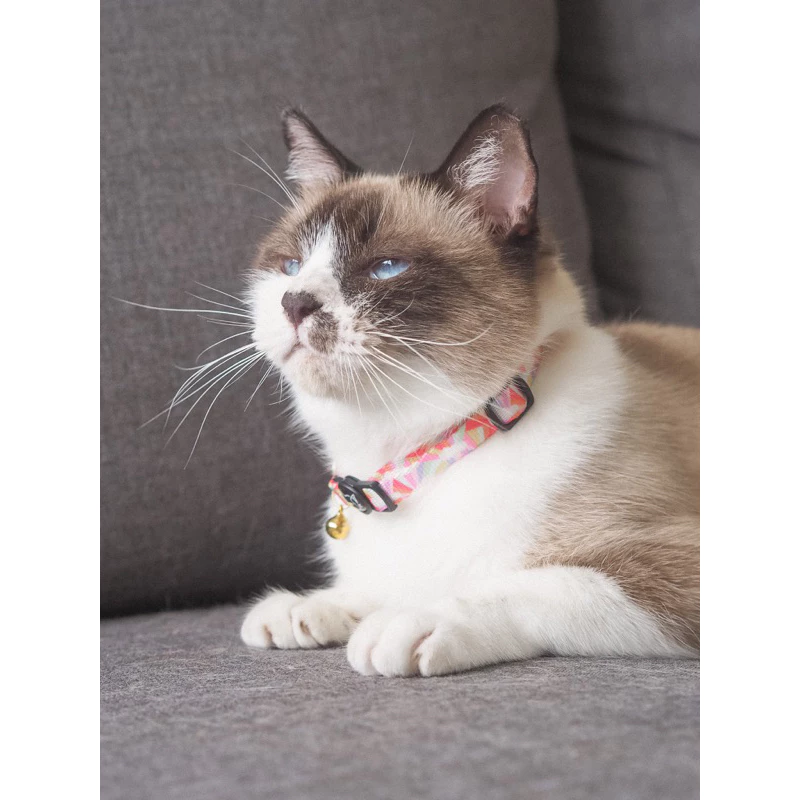 GENTLEPURR Cat Collar ปลอกคอแมว สินค้านำเข้าจากสิงคโปร์ thumbnail 6