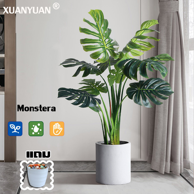 🔥ราคาถูกที่สุด🔥XY มอนเสตอร่า ต้นไม้ปลอม ฟรีกระถางดอกไม้ต้นไม้+หินตกแต่ง ความจำลอง 99% สไตล์นอร์ดิก ในบ้าน