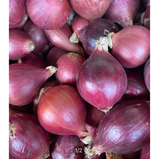 Fresh onion หอมแขก 🧅   1 กิโลกรัม แห้ง สด คัดคุณภาพให้ แข็งทุกลูก Onion