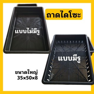 ถาดไดโซ แบบมีรู ไม่มีรู เพาะต้นกล้า