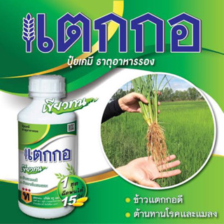 แตกกอฮอร์โมนพืช 🌾🌾 ช่วยให้ข้าวแตกกอดี เขียวทน ต้านโรคและแมลง ขนาด 1 ลิตร