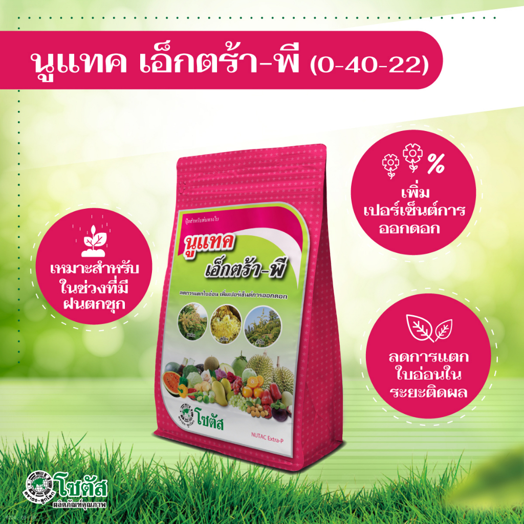 นูแทค เอ็กตร้า-พี - ลดการแตกใบอ่อน เพิ่มเปอร์เซ็นต์การออกดอก - ขนาด 1 กิโลกรัม ✅ สินค้าผลิตใหม่ ของแท้แน่นอน 💯 - รูปที่ 2