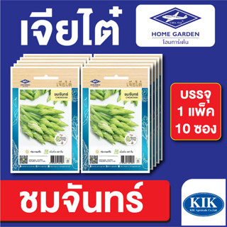 เมล็ดพันธุ์ ผักซอง ชมจันทร์ ตราเจียไต๋ บรรจุแพ็คล่ะ 10 ซอง ราคา 70 บาท