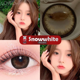 ลาย snow white ❤️ Lovelylens สีเทา สีน้ำตาล ตาโตแบ๊ว เป็นประกาย นำเข้าจากเกาหลีแท้ 🇰🇷