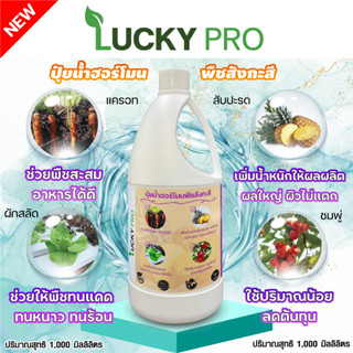 ฮอร์โมนพืช1000MLซิงค์อาหารเสริมพืชธาตุสังกะสีทนหนาวทนร้อนทนโรคLUCKY PROแตกตาดอกแตกตาพืชฟื้นฟูต้นโทรมสร้างความแข็งแรง