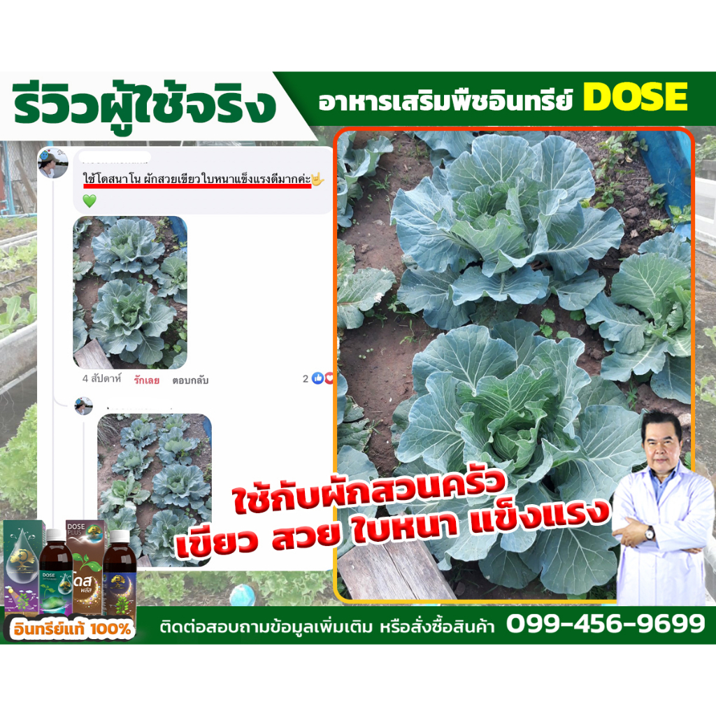 โดสเอ็กซ์ตร้านาโน [โปรส่งฟรี] โดส Dose extra nano ฮอร์โมนพืช  เร่งใบ เร่งต้น  เร่งโตเพิ่มผลผลิต - รูปที่ 4