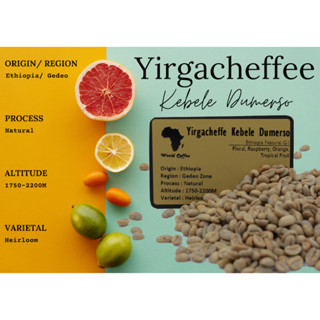 พร้อมส่ง เมล็ดกาแฟดิบ Yirgacheffe Kebele Dumerso Natural Process/ เมล็ดกาแฟนอก/ เมล็ดกาแฟสารเอธิโอเปีย