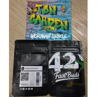 FastBuds Gorilla Glue auto  พร้อมแพ็คเกจค่ายเเท้เเละเเบบเเยก เมล็ดค่าย เมล็ดกัญ