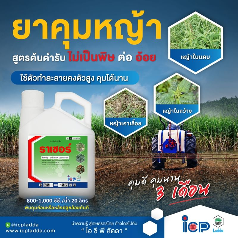 ราเซอร์  4 ลิตร  - อะซีโทคลอร์ - สารกำจัดวัชพืชในอ้อย ข้าวโพด มันสำปะหลัง ✅ สินค้าผลิตใหม่ ของแท้แน่นอน 💯 - รูปที่ 2