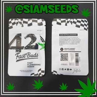 เมล็ดกัญชา Fastbuds Orange Sherbet Fastflowering Cannabis Seeds (Pack of 3)