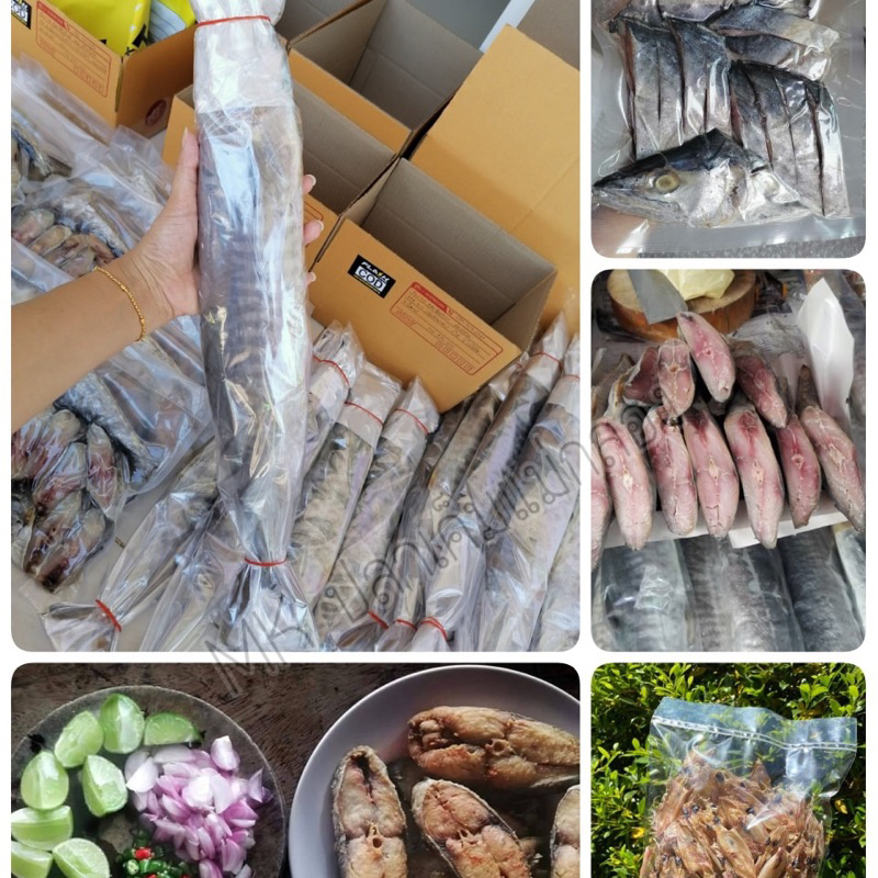 ปลาอินทรีย์เค็ม ดองสดจากเรือ น้ำหนัก 500-550 กรัม​ - 600-650 กรัม