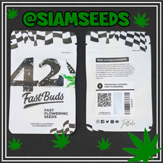 เมล็ดกัญชา Fastbuds Tropicana Cookies Fastflowering Cannabis Seeds (Pack of 3)