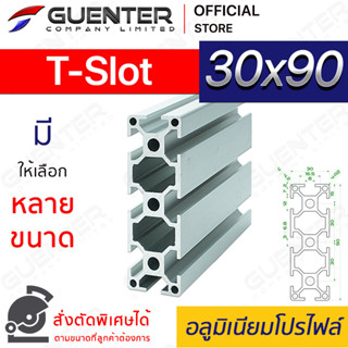 อลูมิเนียมโปรไฟล์ 30×90 T-Slot มีหลายขนาด (สั่งตัดได้) ยาวสุด 1 เมตร สินค้ามาตรฐาน คุณภาพดี ราคาถูกสุด [ALPC-39-TS]