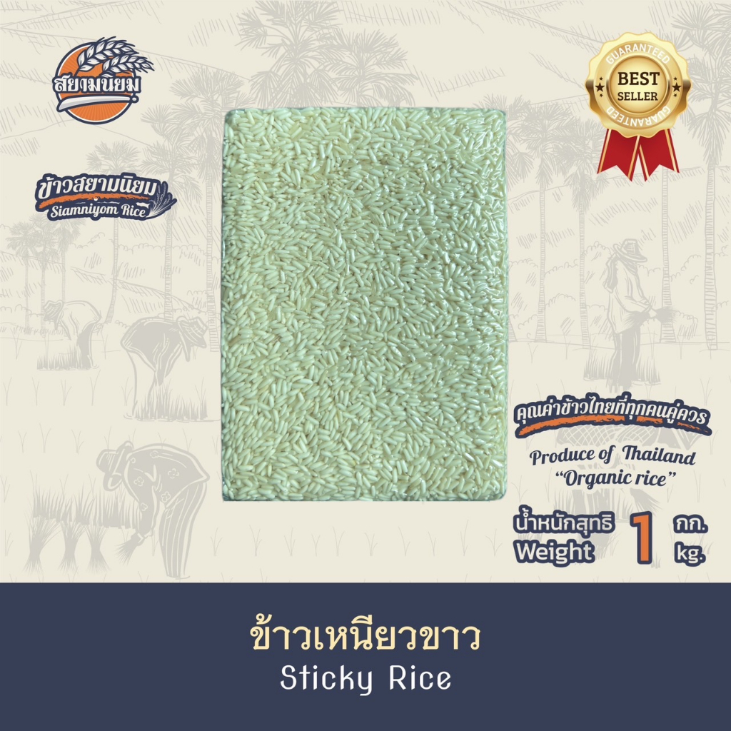 ข้าวเหนียวขาวแม่โจ้ ขนาด 1 กก