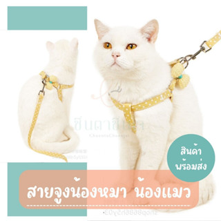 🐶พร้อมส่ง🐱 สายจูง เชือกจูง สำหรับสัตว์เลี้ยง หมา แมว สีพาสเทล