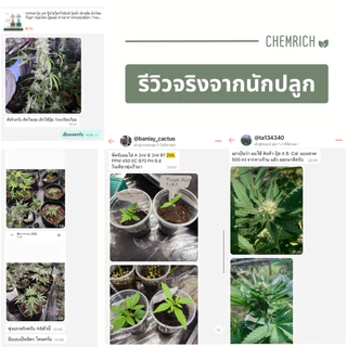 500ml ปุ๋ย AB ปุ๋ยไฮโดรโปนิกส์ ปุ๋ยน้ำ ผักสลัด ผักไทย กัญชา สมุนไพร ปุ๋ยเอบี สารอาหารครบทุกชนิด / Two-part fertilizer