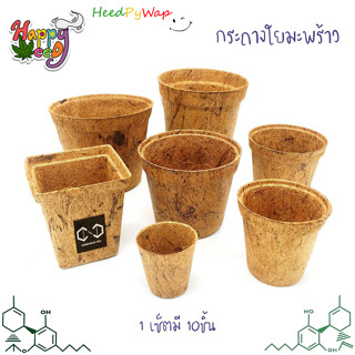 (แพ็ค 10 ชิ้น) กระถางต้นไม้ใยมะพร้าว กระถางใยมะพร้าว กระถาง gallon pot coco pot