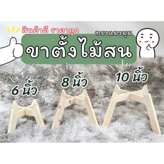 ขาตั้งกระถางต้นไม้ ขาตั้งต้นไม้ ไม้สนนำเข้า ราคาถูก คุณภาพดี