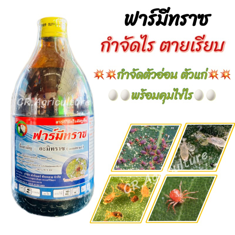 อะมิทราซ ฟาร์มรทราช ยาไรแดง สารกำจัดไร ไรแดง ไรขาว ไรแมงมุม ไรสนิม ยาฆ่าไรแดง ใน แคคตัส ไม้ดอก ไม้ผล
