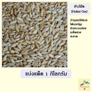 ข้าวโอ๊ตสำหรับนก (Hulled Oat )  ( แบ่งแพ็ค 1 Kg. )