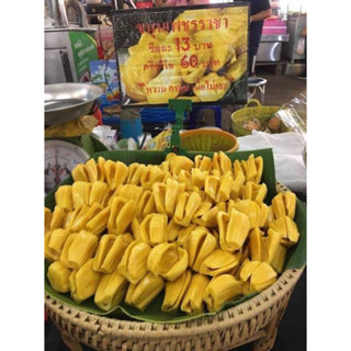 ขนุนทองประเสริฐ (จำนวน 10 ต้น) สูง 50-80 เซน