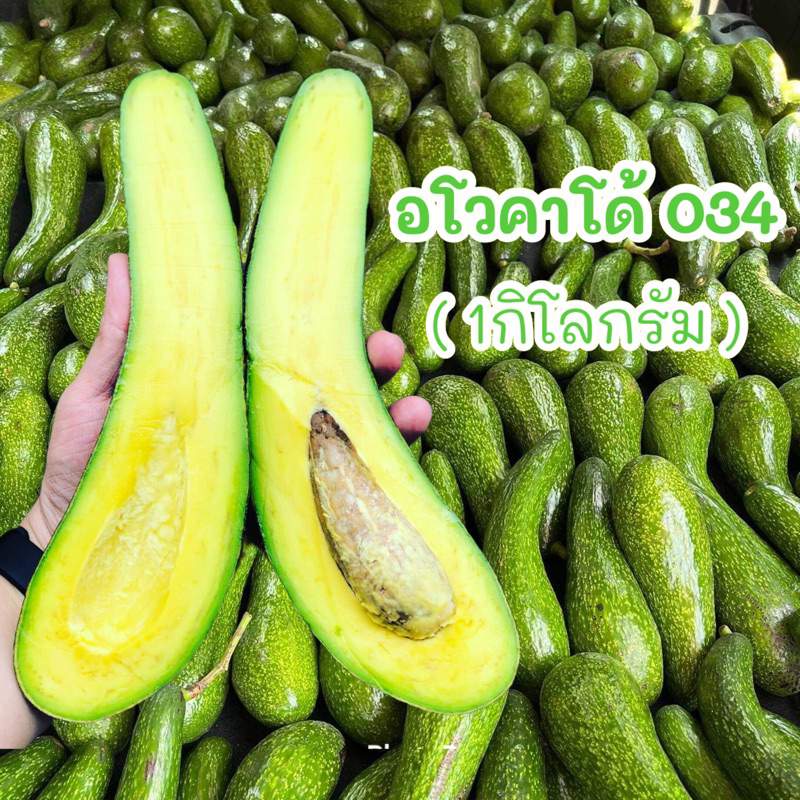 พร้อมส่ง‼️(1KG) อโวคาโด้ แก่จัด avocado🥑 แฮส hass TA21 034 แฮส บูท7 บัคคาเนีย