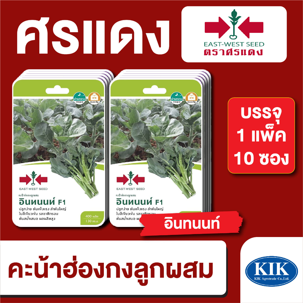 ผักซอง ศรแดง คะน้าฮ่องกง อินทนนท์  F1 บรรจุแพ็คล่ะ 10 ซอง