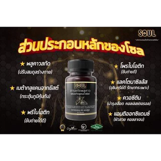 (1 กระปุก) ส่งด่วน ของแท้ อาหารเสริมพลูคาว ลดอักเสบ ไอ ผื่น คัน ภูมิแพ้ ผิวหนัง โซลพลูคาวเบต้ากลูแคน