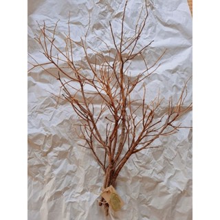 กิ่งไม้แห้งประดับ Dried Tree BranchesArtificial Antler Branch...